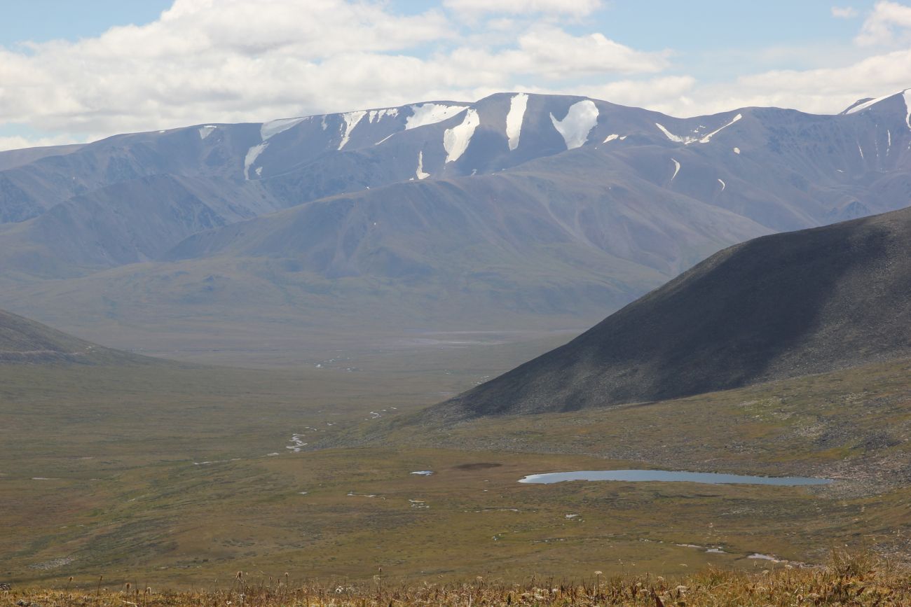 Верховья р. Калгуты, image of landscape/habitat.