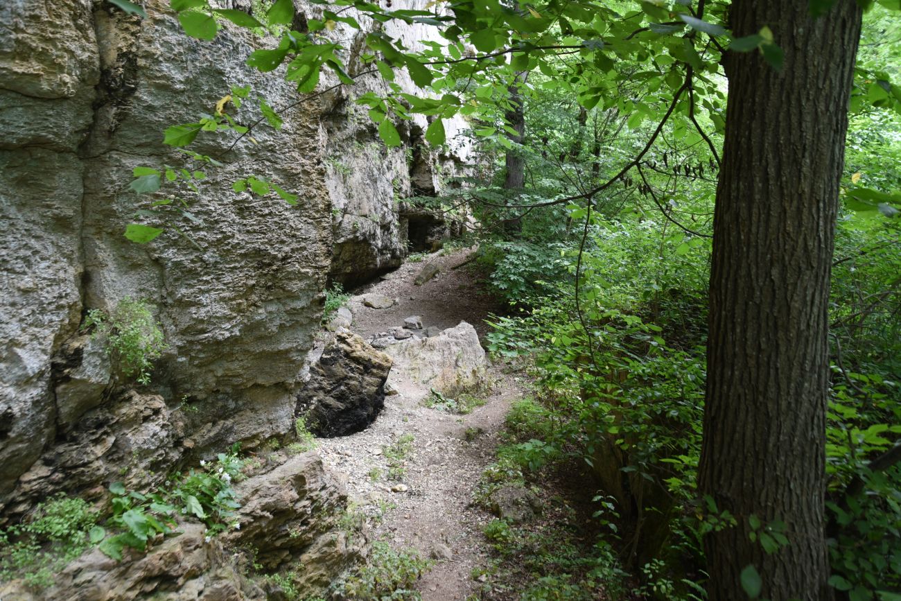 Окрестности скалы Парус, изображение ландшафта.