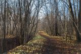 Дудергофские высоты, image of landscape/habitat.