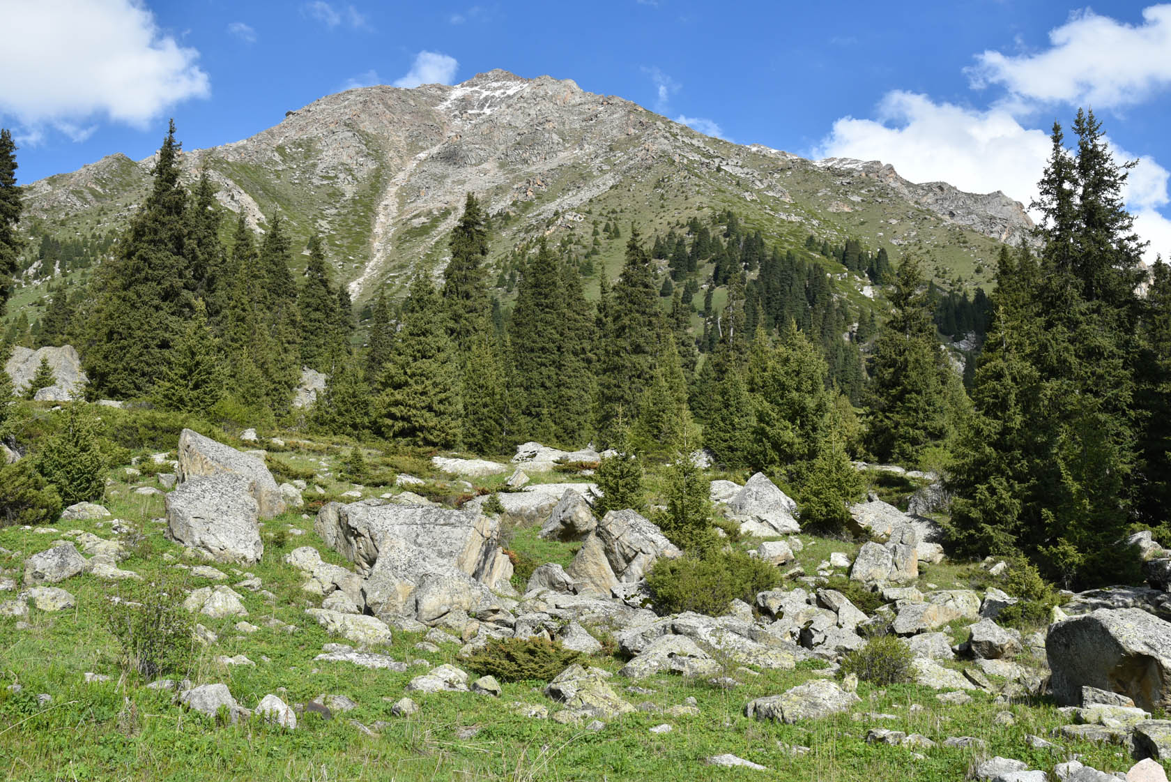 Большое Алматинское ущелье, image of landscape/habitat.
