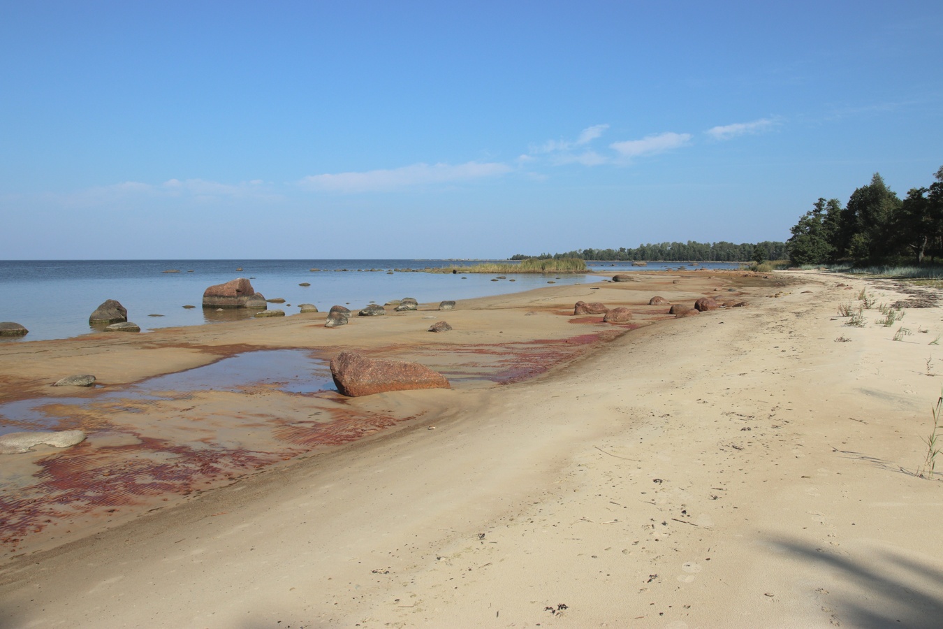 Мыс Дубовский, image of landscape/habitat.