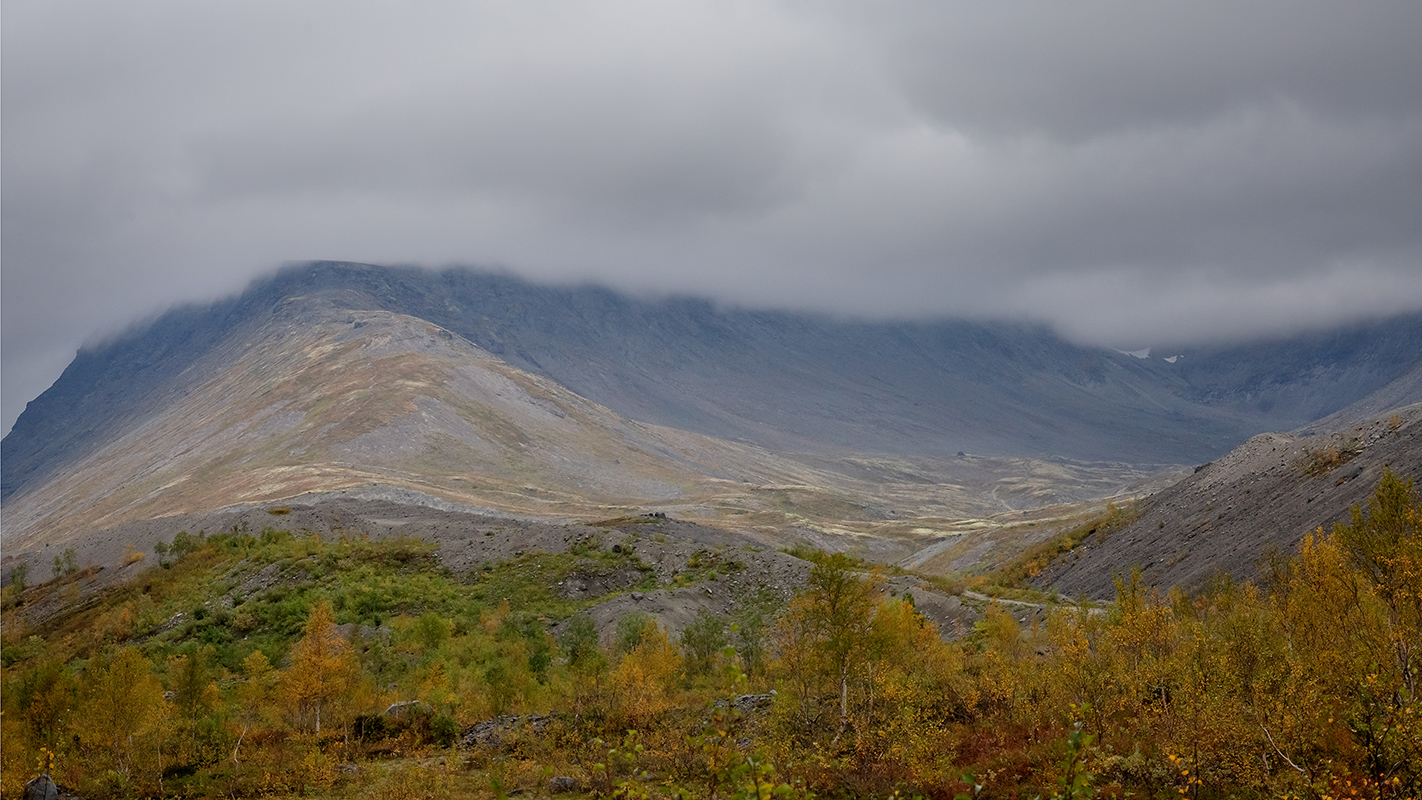 Долина Кукисвум, image of landscape/habitat.