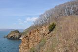 Окрестности бухты Лашкевича, image of landscape/habitat.