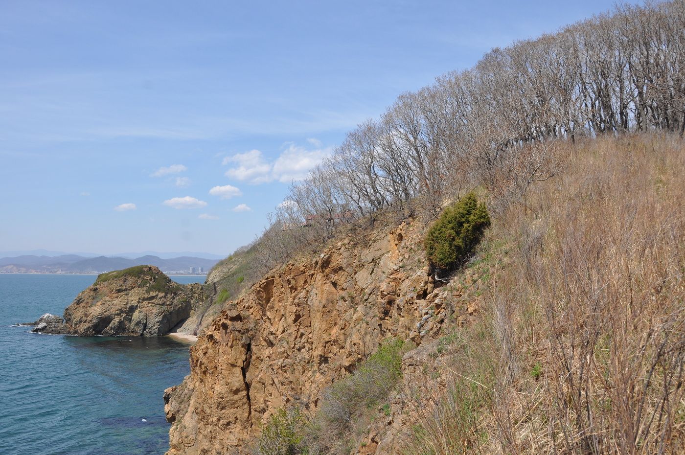 Окрестности бухты Лашкевича, image of landscape/habitat.