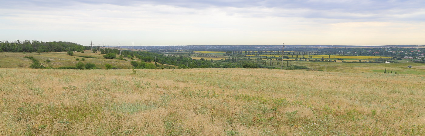 Долина реки Миус (Тр. с/п), image of landscape/habitat.