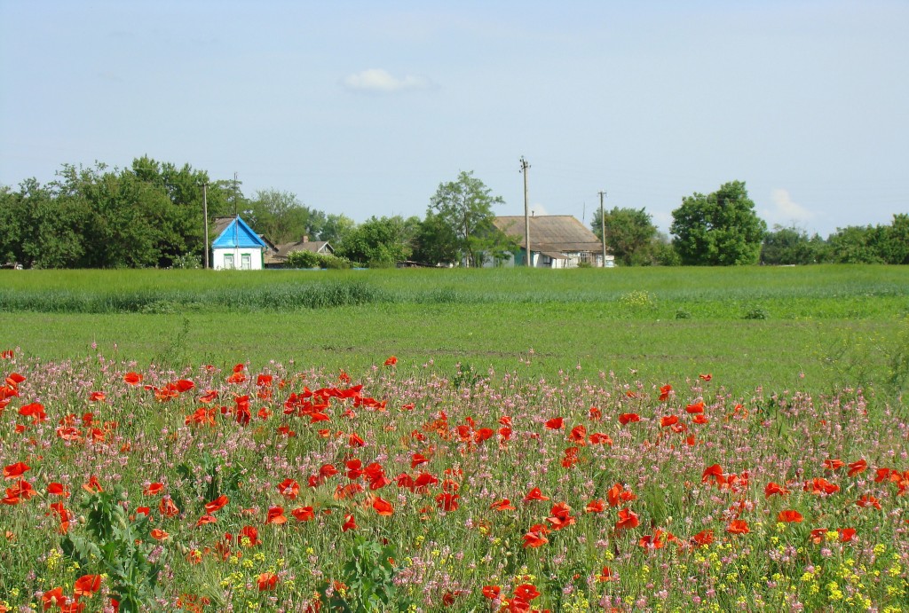 Станица Шкуринская, image of landscape/habitat.