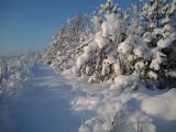 Лаппелово, image of landscape/habitat.