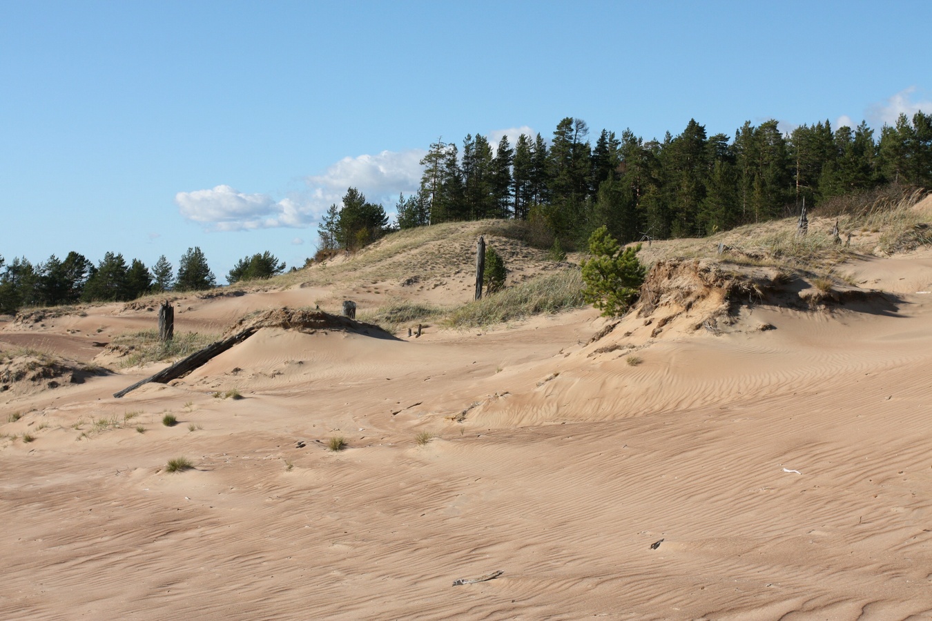 Устье Тулоксы, image of landscape/habitat.