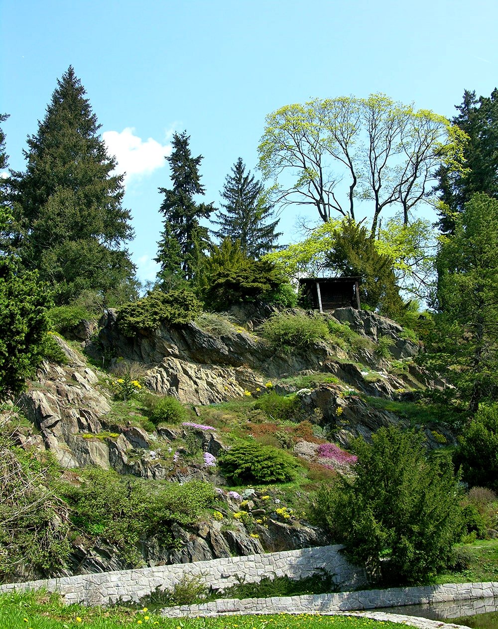 Пругонице, image of landscape/habitat.