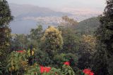 Image of landscape