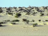 Image of landscape