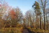 Дудергофские высоты, image of landscape/habitat.