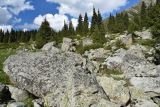 Большое Алматинское ущелье, image of landscape/habitat.