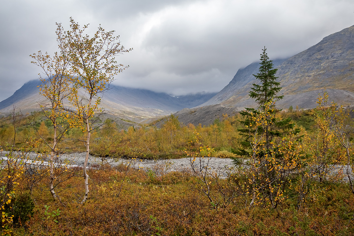 Долина Кукисвум, image of landscape/habitat.