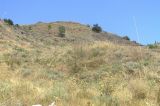 Image of landscape