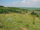 Image of landscape