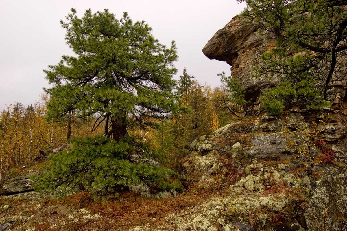 Каменный Город, image of landscape/habitat.