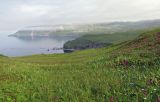 Image of landscape