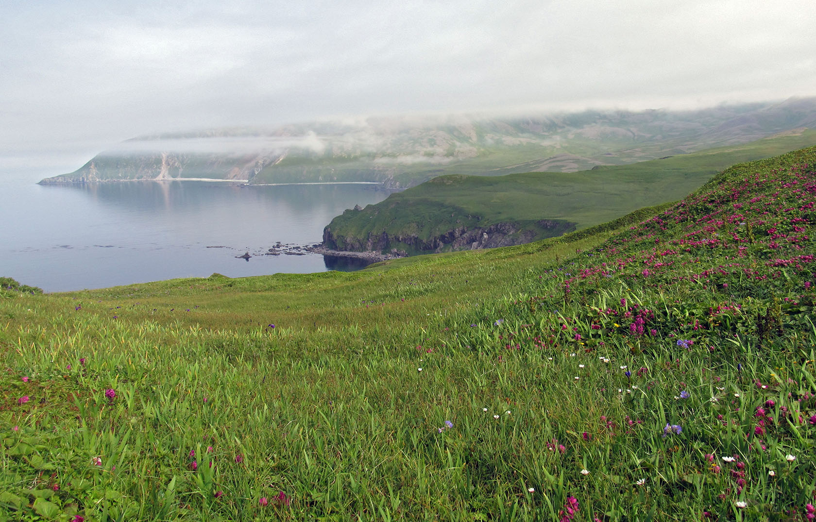 Остров Медный, image of landscape/habitat.