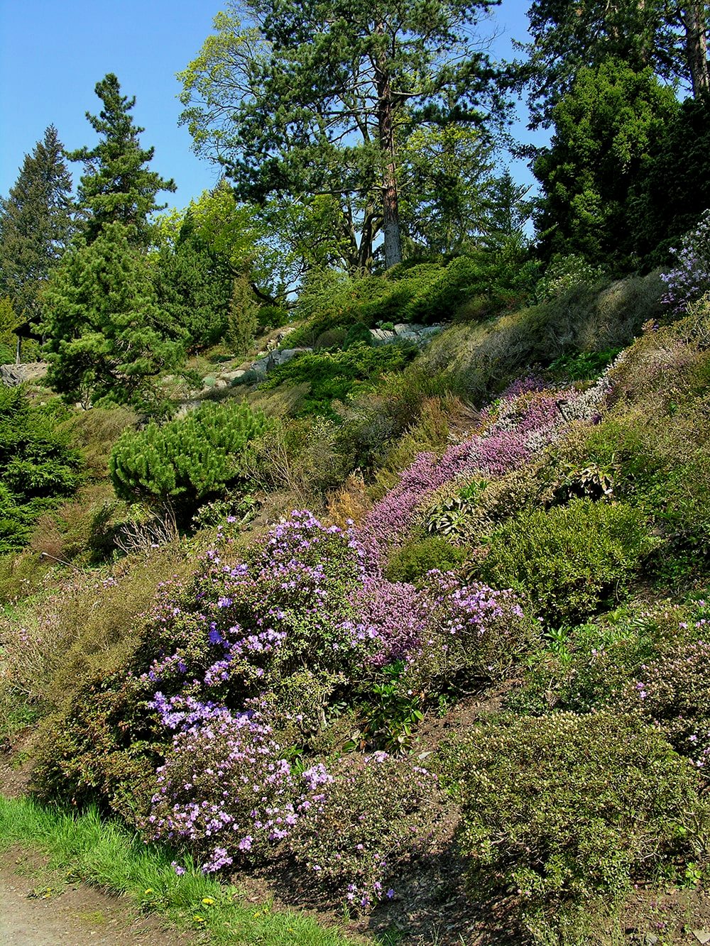 Пругонице, image of landscape/habitat.