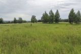 Image of landscape