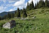 Image of landscape