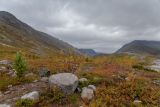 Landscape image