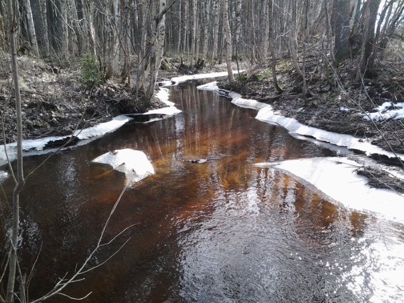 Лаппелово, image of landscape/habitat.