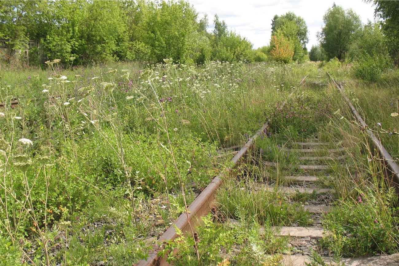 Серпухов-Ветка, image of landscape/habitat.