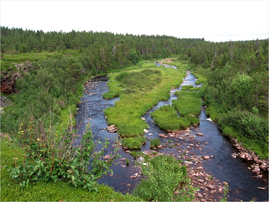 Аметистовый берег, image of landscape/habitat.