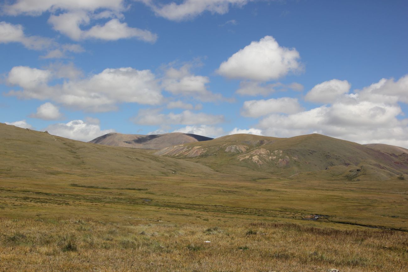 Окрестности стоянки Аргамджи, image of landscape/habitat.
