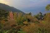 Image of landscape