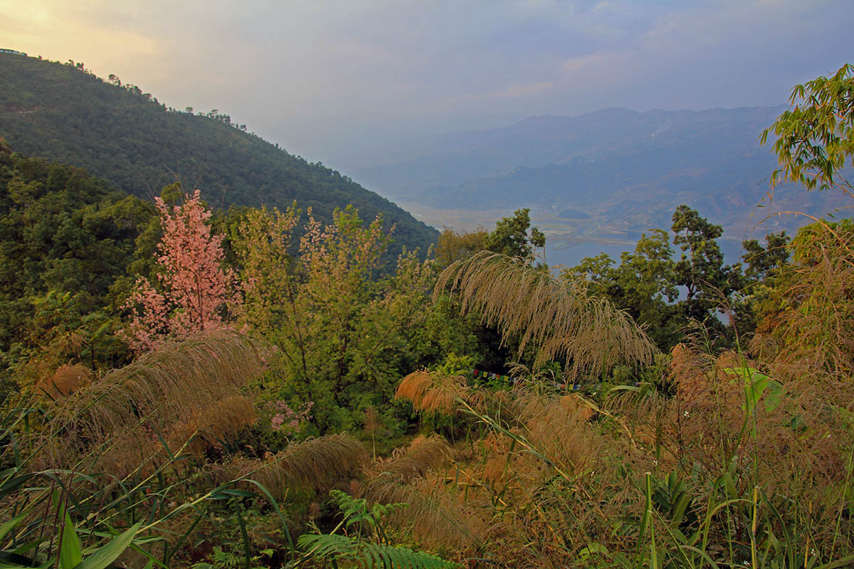 Покхара, image of landscape/habitat.