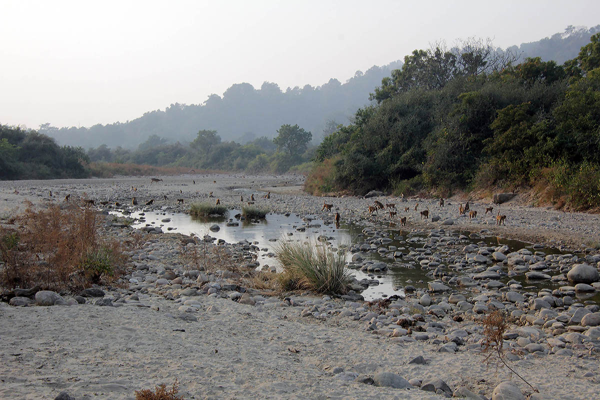 Национальный парк Джима Корбетта, image of landscape/habitat.
