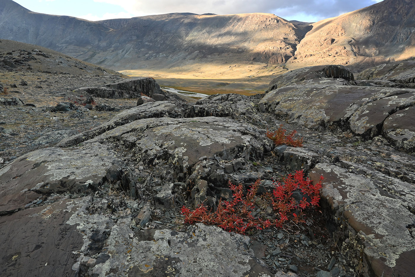 Подножие горы Шивээт-Хайрхан, image of landscape/habitat.