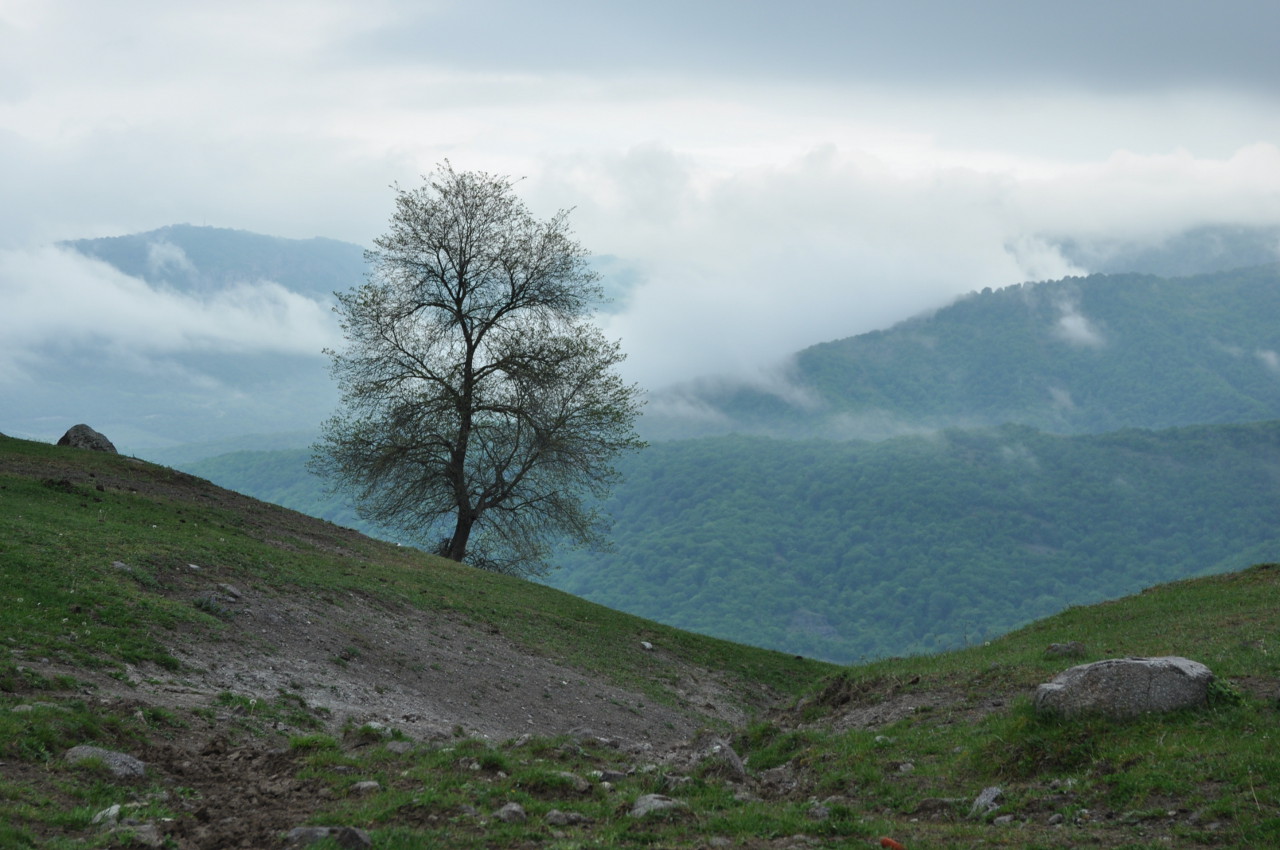 Окрестности села Колатак, изображение ландшафта.