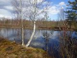 Лаппелово, image of landscape/habitat.