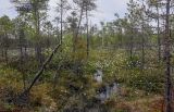 Image of landscape