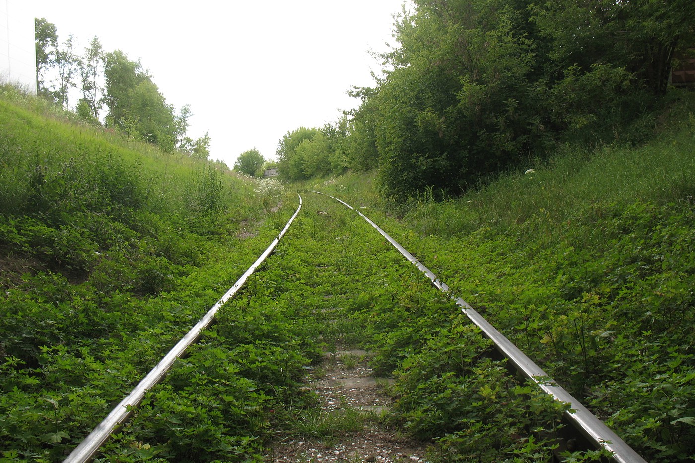 Серпухов-Ветка, image of landscape/habitat.
