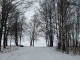 Парк "Александрия", image of landscape/habitat.