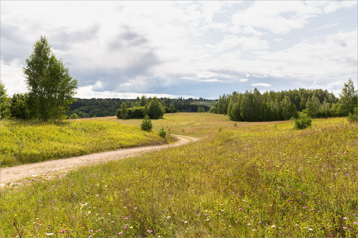 Изборско-Мальская долина, image of landscape/habitat.