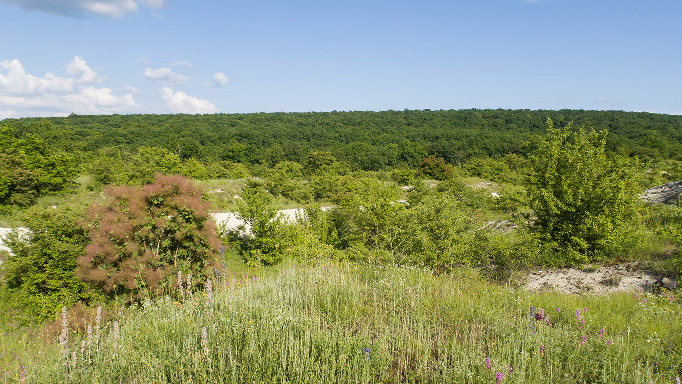 Карьер в Темрючках, image of landscape/habitat.