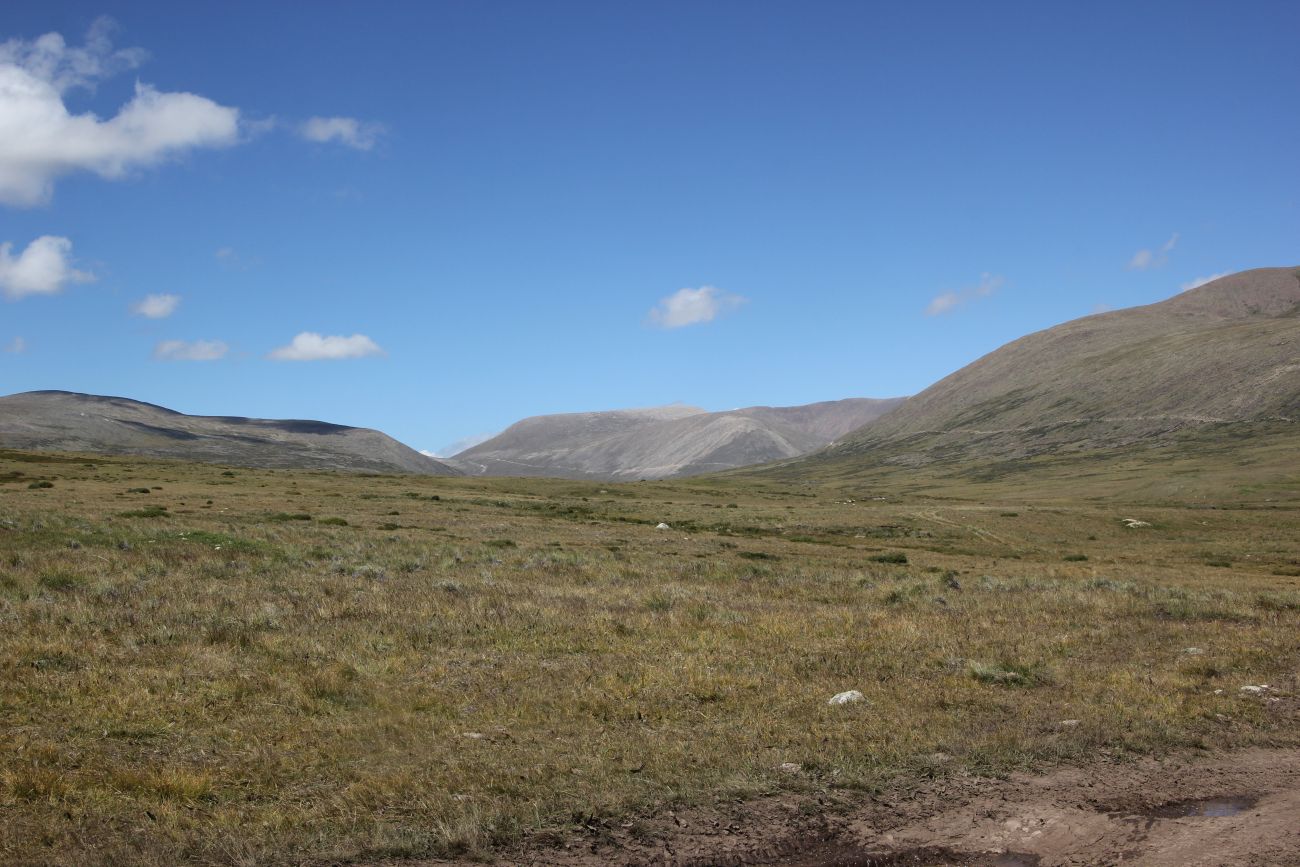 Окрестности стоянки Аргамджи, image of landscape/habitat.