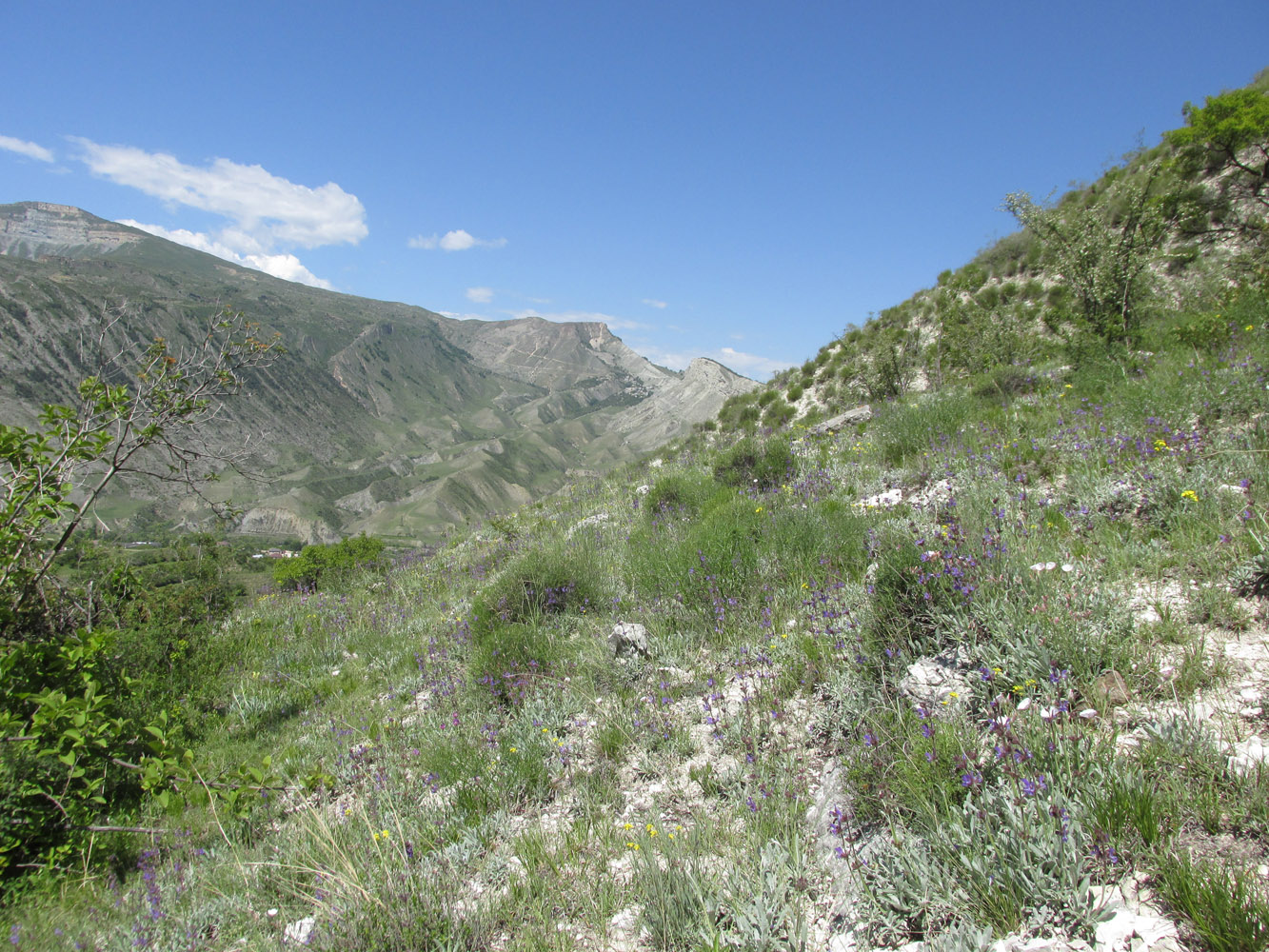 Цудахар, image of landscape/habitat.