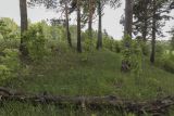 Image of landscape