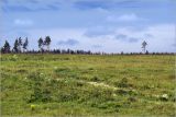 Лесничество «Красный Маяк», image of landscape/habitat.