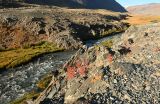 Подножие горы Шивээт-Хайрхан, image of landscape/habitat.
