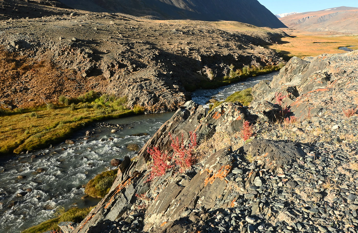 Подножие горы Шивээт-Хайрхан, image of landscape/habitat.