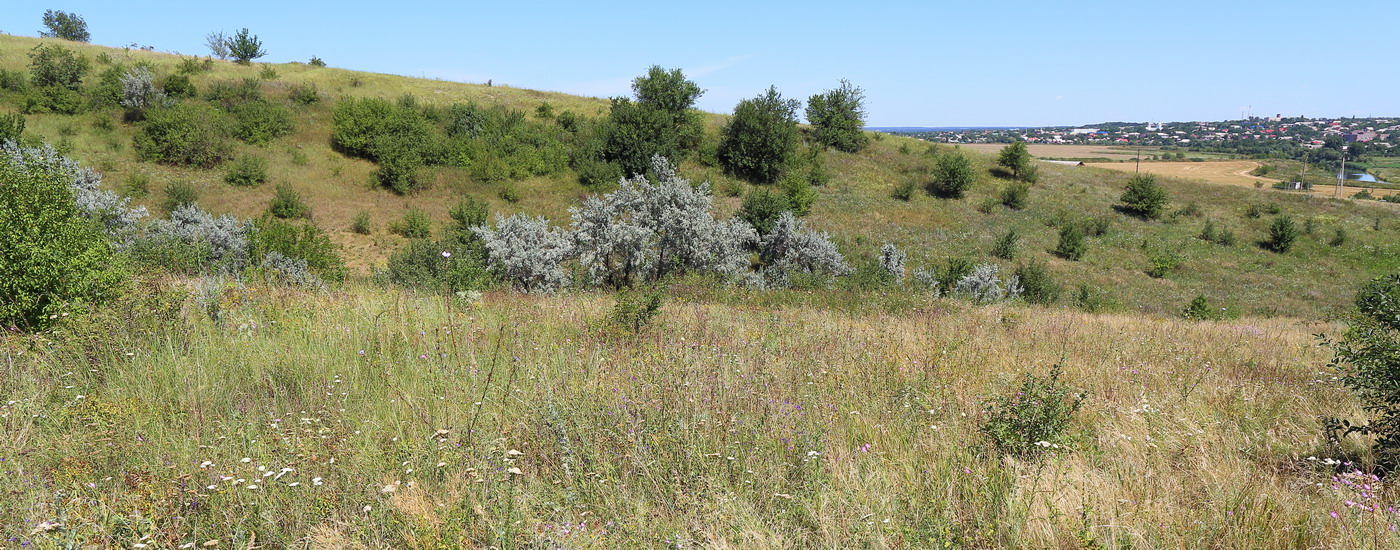 Миусский склон, image of landscape/habitat.