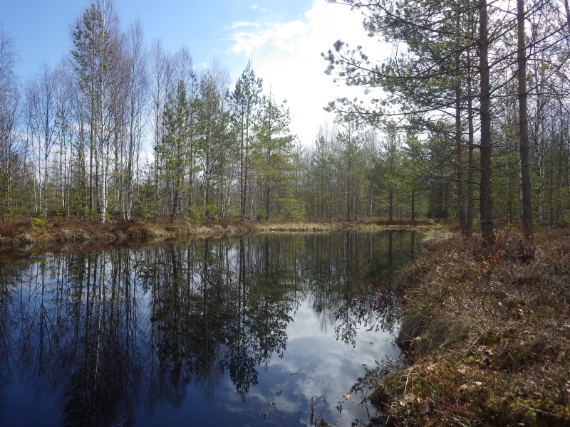Лаппелово, image of landscape/habitat.